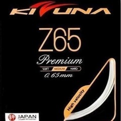 【ガット•工賃込み】Z65