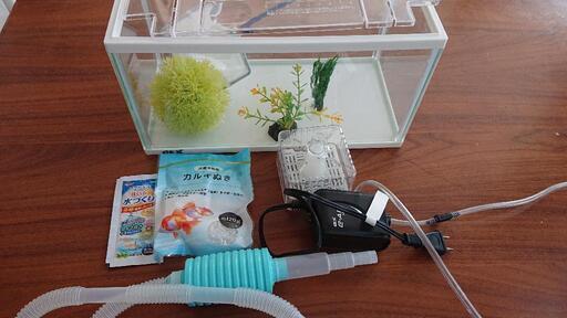 水槽セット