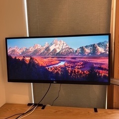 LG モニター ディスプレイ 29WL500-B 29インチ
