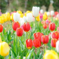 ⭐⭐３月末まで大募集❗❗⭐⭐　 🍒未経験者大歓迎の建築系軽作業ア...