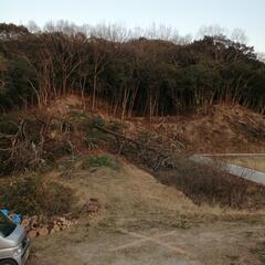 一旦3/20で締切　淡路島の五色町で薪になる原木を売ります(価格...