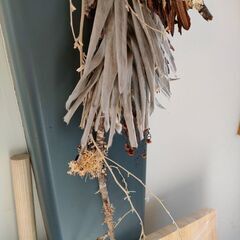 ドライフラワー　スワッグ　植物　インテリア　オシャレ家具　ナチュラルの画像