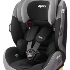 Africa. チャルドシード