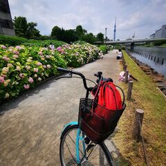 綺麗で綺麗な中古自転車だけで8000円 地下鉄浅草・蔵前駅の画像