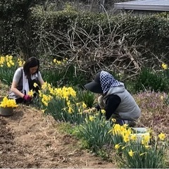 体験型シェア農園『おもけんファーム』会員募集中！ - メンバー募集