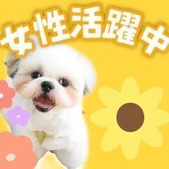 4/1から勤務可能な方！緊急募集！！その他勤務地もあり♪アパレル販売業務★の画像