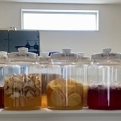 ミネラル発酵ドリンク教室