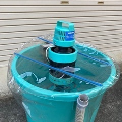 催芽機　芽出たくん4 LW-37