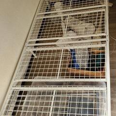 シングルパイプベッド

(３月20日まで掲載予定です)