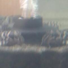 キンペコの画像