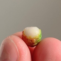 ◆瑞々しい◆単品◆ライチ ミニチュアフード ミニチュア ハンドメイドの画像
