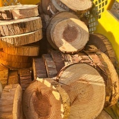 丸太のスライス　在庫処分