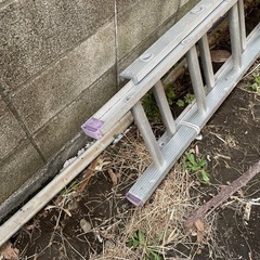 2連梯子　7mの画像
