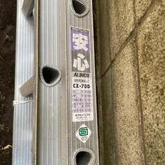2連梯子　7mの画像