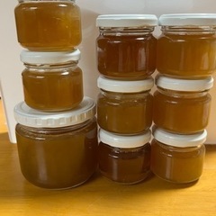 令和6年6月ごろ採蜜予定🐝　天然ハチミツ　ニホンミツバチ　百花蜜🐝