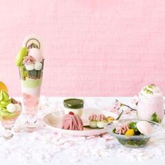 駅近/週2/未経験OK！抹茶ずくしの和カフェ♪ 【茶想もりた園】アルバイトスタッフ複数名募集します！の画像