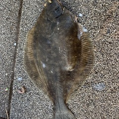釣りしませんか？初めてさんも歓迎✨ − 東京都