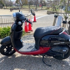 ホンダ　ジョルノ