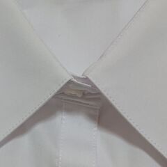 就活用シャツの画像