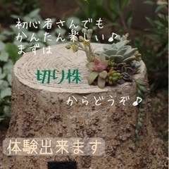 モルタルデコ教室 カインズ昭島店の画像