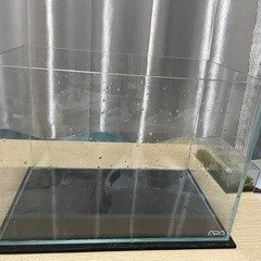 美品　ADAキューブガーデン　36×22cm水槽　生駒お渡しは4...