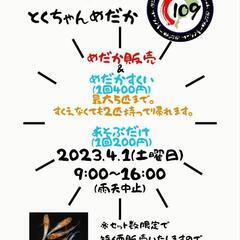 めだか販売&めだかすくい　4/1土曜日開催