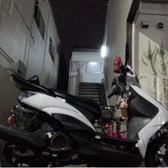 シグナス2型