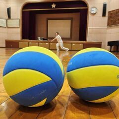 11月19日(日)バレーブランクある方や初心者さん🔰男女共に新メンバー募集！ − 東京都