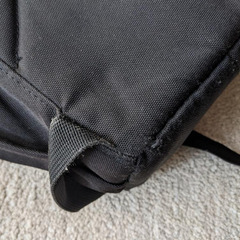 Lowepro Format BP 150の画像