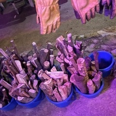 4月⛺️キャンパー集まりませんか！？