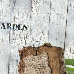 ビカクシダ ネザーランド コルク　観葉植物の画像