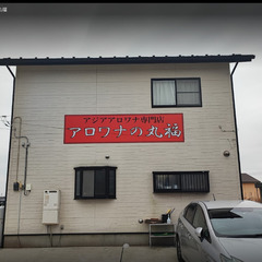 アロワナの丸福
