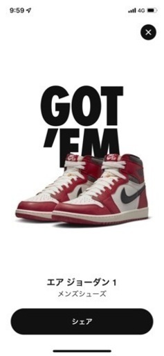 エアジョーダン1シカゴレトロHG   28cm