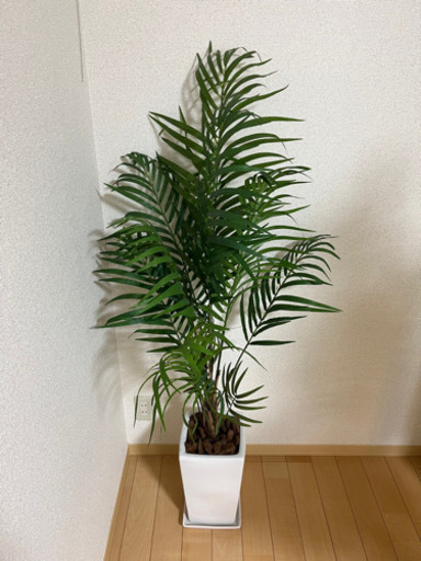 【受渡予定者あり】フェイクグリーン　造花　観葉植物