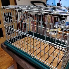 福岡県 北九州市のペットケージの中古が安い！激安で譲ります