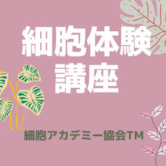 その化粧品大丈夫⁈見極める力がキーポイント💖細胞科学体験講座💖