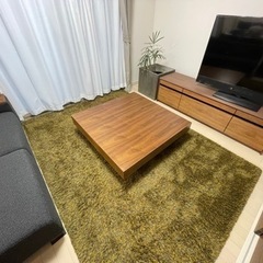 FLANNEL SOFAシャギーラグ フォレストグリーンの画像