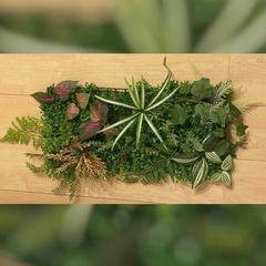 ウォールグリーン製作キット 25cm×50cm フェイクグリーン
