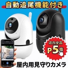 見守りカメラ