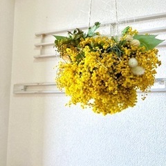 北欧インテリア ミモザフライングリース gm