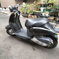 ホンダ　today AF61の画像