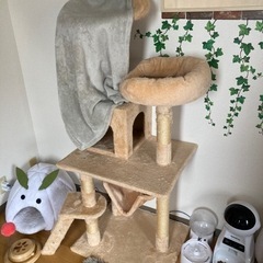 キャットタワーあげます！の画像
