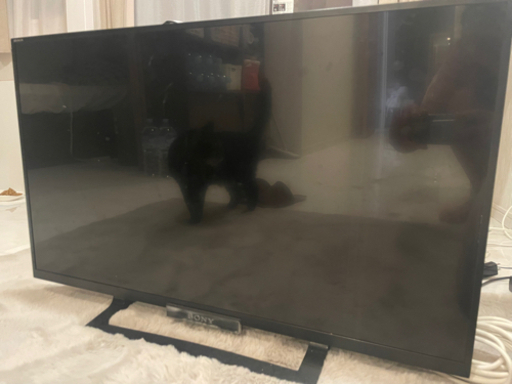 液晶 テレビ ブラビア&ファイアースティックTV