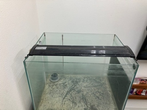 60cm×45cm×45cm オーバーフロー水槽　水中ポンプセット