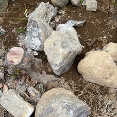 庭石、ロックガーデン、防草シートの押さえ、土留め