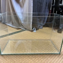 オールガラス水槽　各種の画像