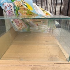 オールガラス水槽　各種の画像