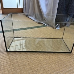 オールガラス水槽　各種の画像