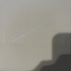 ペット用オアシス（ほぼ新品）の画像