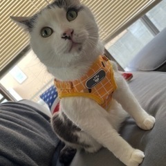 ゆるくながくお友達に。